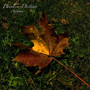 两根性器一前一后
